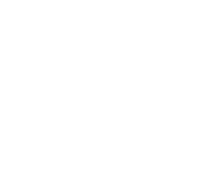 White Spider Web